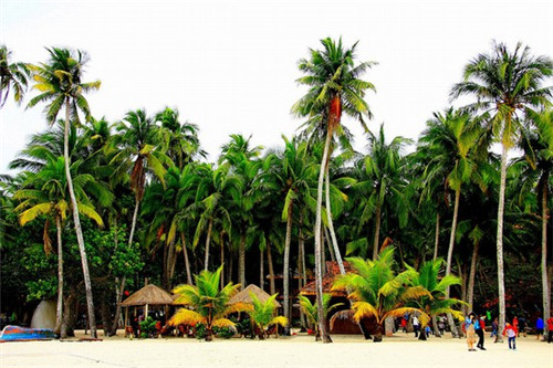 重庆房价太高？融创长乐雅颂购房攻略！