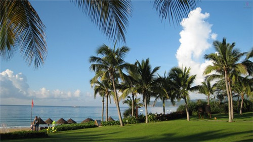 汉南区哪些菜肴最好吃，汉南特色菜