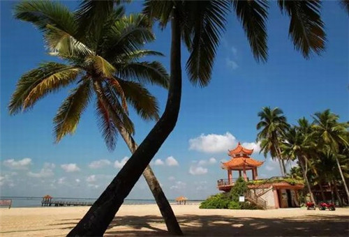 卓越国际旅行社在深圳哪区