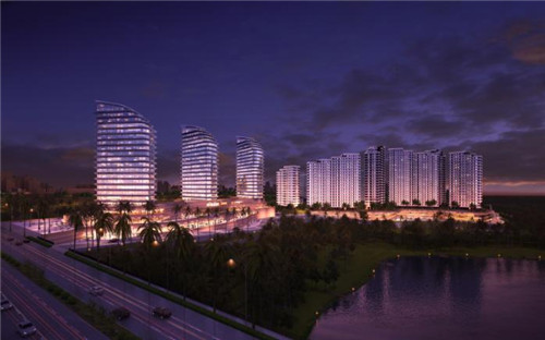 特马港扩建对当地的影响