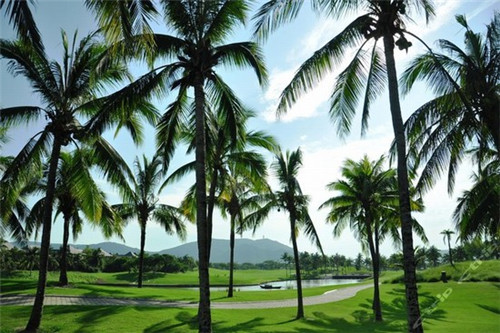 锦州的海景房潮吗