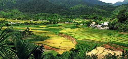 保定有什么发展前景,河北保定的房子哪里升值空间高?
