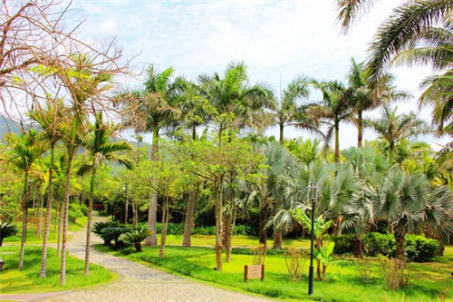 梦幻手游什么是塔级任务，梦幻西游手游九层塔外