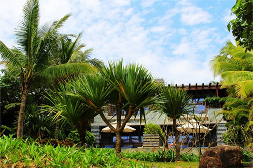 天龙手游佣兵可以做什么,天龙手游佣兵可以做什么装备