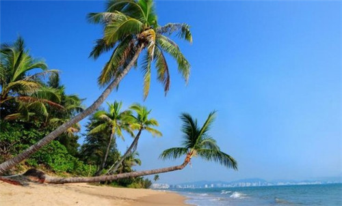 生二胎的婆婆知乎