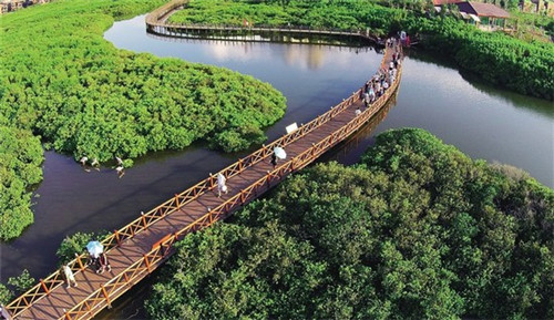 日本 龙珠 日本 龙珠