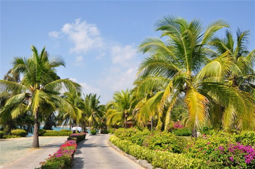 三原县的民宿多少钱一晚