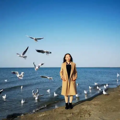 绍兴自媒体抖音文案伏导师