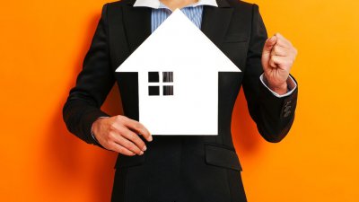 洛阳抖音app下载正版小金导师